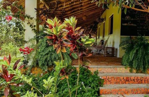 Barreirinhas Hotel | POUSADA e HOSTEL SÍTIO PARAÍSO DO CAJU