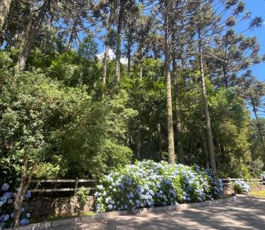 Sao Joaquim Cabin | Pousada Encanto Verde