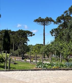 Sao Joaquim Cabin | Pousada Encanto Verde