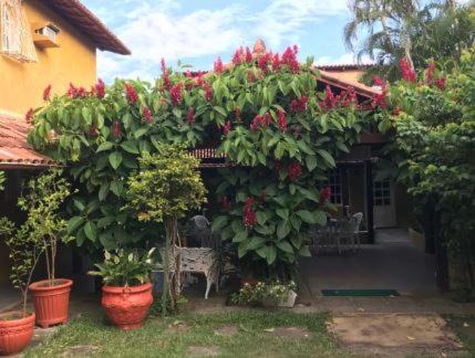 Ponta da Fruta Hotel | Pousada Fonte da Samaritana