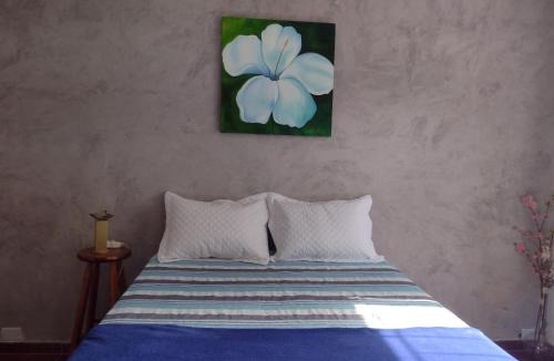 Macae House | Pousada Jardins
