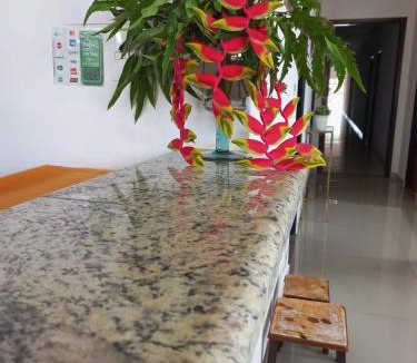 Sao Jose do Rio Pardo Hotel | Pousada Manacá