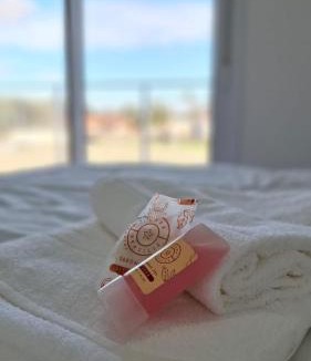 Paraiso do Sul Hotel | Pousada Muller