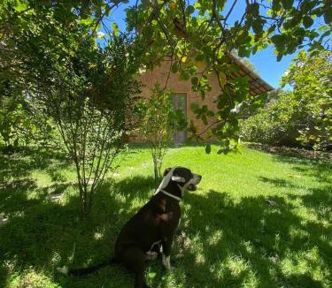 Caruaru Bed & Breakfast | Pousada Paz e Tranquilidade Chalé Céu estrelado