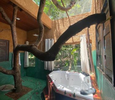 Caruaru Bed & Breakfast | Pousada Paz e Tranquilidade Chalé Céu estrelado