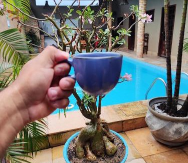 Cumbuco Hotel | Pousada Pouso Da Praia
