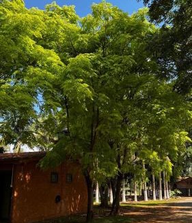 Carmo do Rio Claro Apartment | pousada recanto gerais