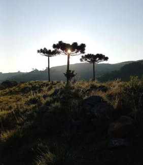 Sao Joaquim Cabin | Pousada Recanto da Cascata