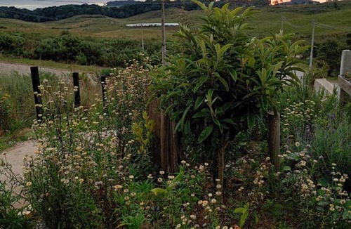 Cambara do Sul Apartment | Pousada Siriemas