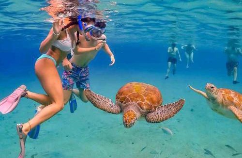 Itaquanduba Hotel | Pousada Suites Nova Mar Ilhabela