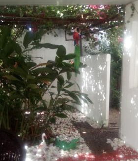 Ponta Negra Hotel | Pousada Terra de Minas