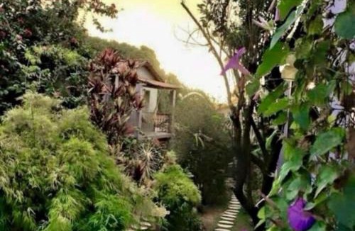 Sao Jorge Hotel | Pousada Trilha Violeta
