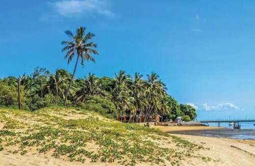 Imbituva Boat Rental | Projeto ajuda o seu próximo