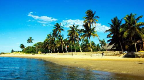 Imbituva Boat Rental | Projeto ajuda o seu próximo