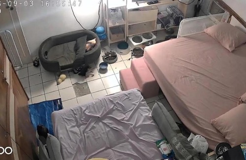 Gracas House | Quarto da lua