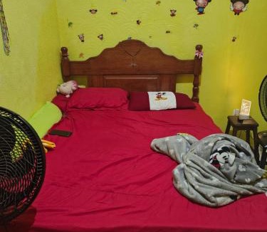Telegrafo Other | Quarto para cop 30 próximo a doca de Souza franco