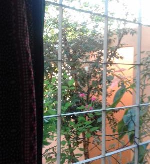 Cavalcante House | Quarto Suite Aconchego