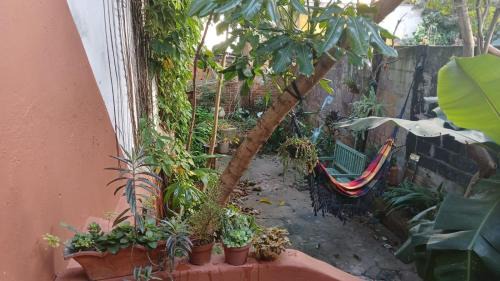 Vila Mariana House | Quarto Verde