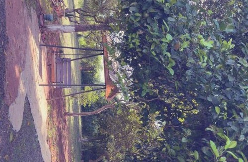 Itapua Department House | Quinta Rojas Riveros