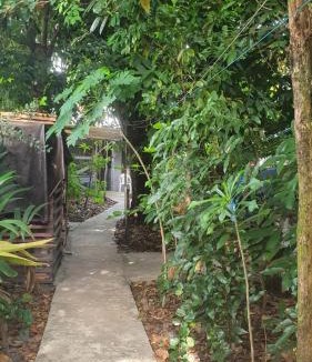 Soure Other | Quintal Hospedagem