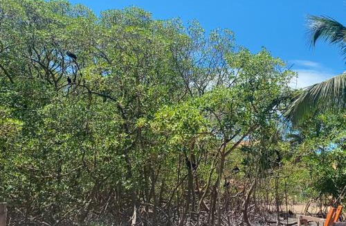 Corumbau Cabin | Raizes da Terra - Ponta do Corumbau