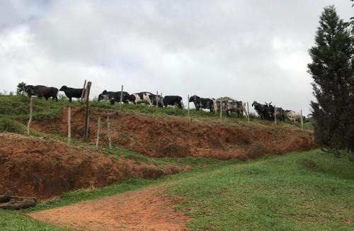 Retto Junior House | Rancho Luna D'oro - Ótimo lugar para descansar
