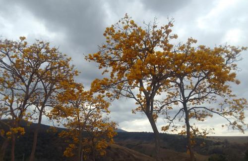 Resplendor Other | Rancho da Montanha Chalé Lua