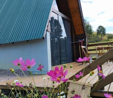 Campo Alegre Other | Rancho dos lagos