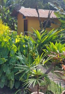 Sao Pedro da Serra House | Recanto Casa Amarela de São Romão