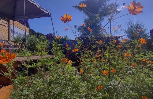 Venda Nova Do Imigrante Bed & Breakfast | Recanto Duas Rosas