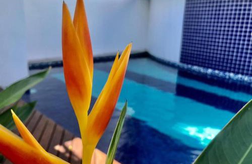 Cabore Hotel | Recanto das Andorinhas Studios
