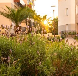 Centro Apartment | Recanto das Lavandas