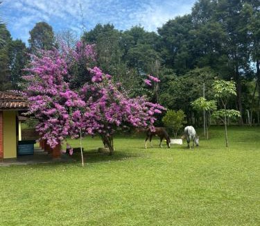Juquitiba House | Recanto do Imponente