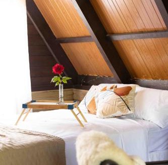 Rio dos Cedros Ski Chalet | Recanto do Rio Chalé na Natureza