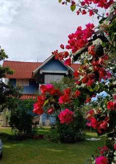 Cuiaba Hostel | Recanto do Turista