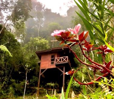 Lumiar Cabin | Refúgio eco Lodge