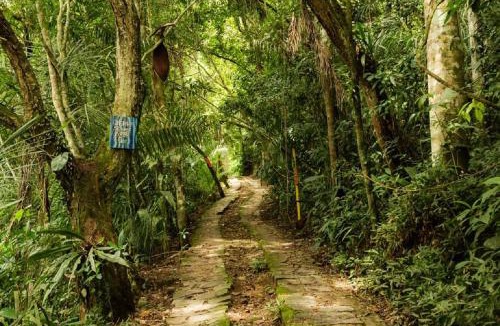 Paraty Hostel | ReMo Treehouse Hostel