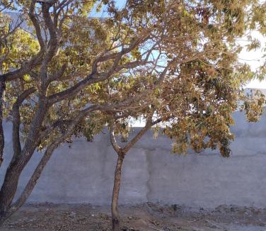 Catalao House | Revoaras