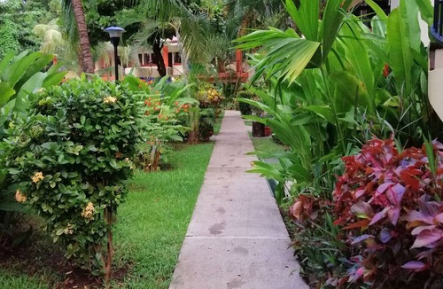 Coco House | Room-nice Condo for Vacation in Playas d