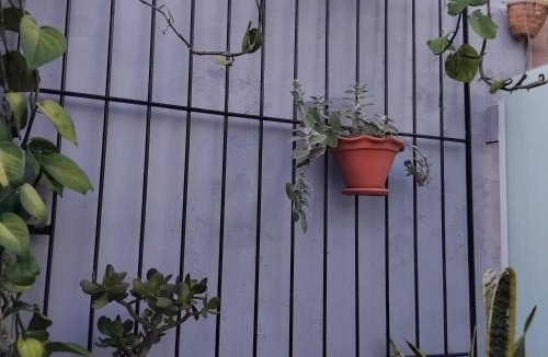 Lagoa da Conceicao Apartment | Rosa dos ventos suíte 1