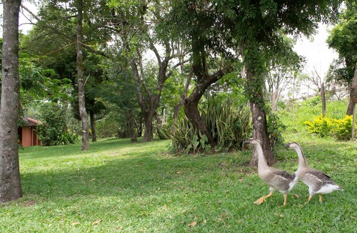 Contagem Cottage | Sítio da Vovó Dinha