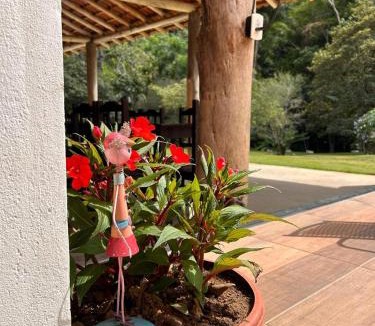 Perobas House | Sítio Cantinho da Roça Perobas