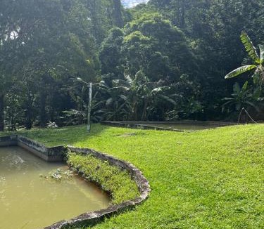 Rio Bonito Ski Chalet | Sítio com rio e muito verde!