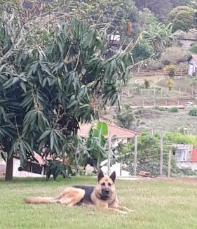 Cachoeira do Campo House | Sítio da Serra em Ouro Preto MG - POUSADA