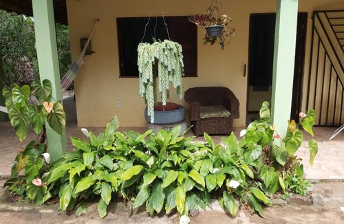 Vicosa do Ceara House | Sítio Guapuruvu