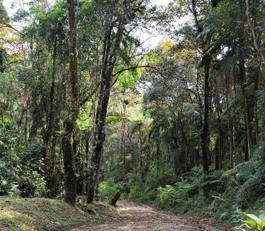 Sao Pedro de Alcantara Cabin | sítio Refúgio do Barro Branco
