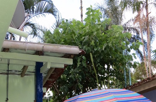 Barra do Sahy House | SAHY BAR ONLY 40 METERS FROM THE BEACH / air-conditioned