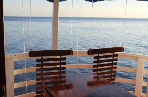 Alter do Chao Boat Rental | Selvagem Tours