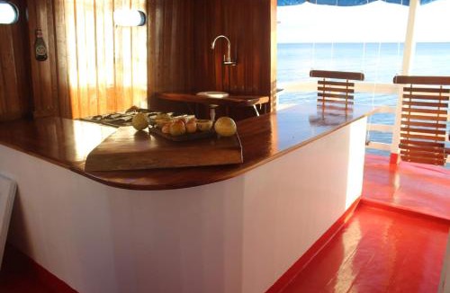 Alter do Chao Boat Rental | Selvagem Tours