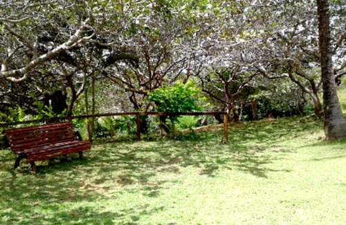 Esplanada House | Site in Subaúma for Retreat or period of peace and tranquility